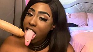 Lexi is a butterfly and she is sucking the cock on the wall.