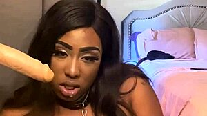 Lexi is a butterfly and she is sucking the cock on the wall.