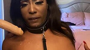 Lexi is a butterfly and she is sucking the cock on the wall.