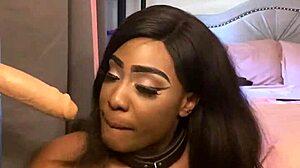 Lexi is a butterfly and she is sucking the cock on the wall.