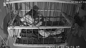 yo, check the raw cagecam feed straight from the cage