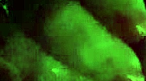 cheating wife shows expert head game on monster cock and big black cock.