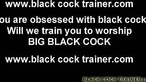 indulge your big black cock fantasy with femdom humiliation and toys!