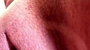 Porsha Carrera and Don Whoe dominate newbie teen Nina Rivera in hot group action.