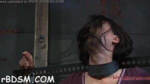 i love the rough seduction leading to hardcore sucking and fucking in this sadomasochism scene