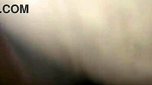 Debela MILF upognjena v doggy stilu