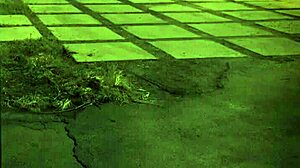 uh, bad slut gettin rough fucked in compilation, ya know?