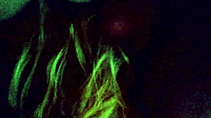 well, when ya know it's goin' down with the wife... 😜