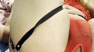 호른 트랜스베스타이트, 크로스드레싱 동작 자랑해