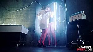 lezdom mistress queens her bonded sub in fishnets