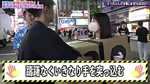 what's in the shinjuku box