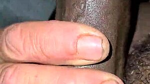 My favorite white woman sucks my dick