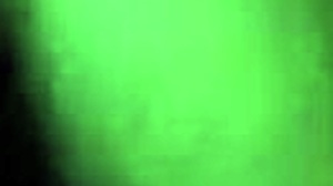 My favorite white woman sucks my dick