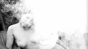 Vintage Cartoon Retro Antique Collection