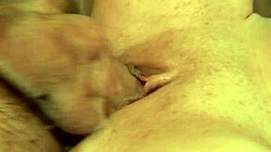 Presley Staxxx takes hard cock in mouth and bent over for intense pleasure