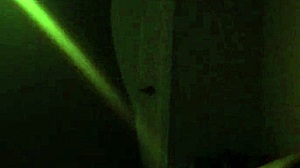 i worship my wife's ebony ass