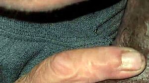 My favorite white woman sucks my dick