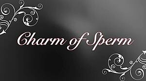 Charm Of Sperm - Cum On Tits