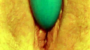 uh, my sexy wife just masturbatin here!