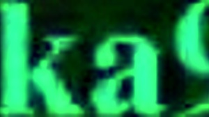 ruka sarashina and sumi sakurasawa adventure