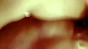 Sundaydogood614 - Update 96 - Vid 20240308 103612 - Mar 08 2024