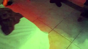 Stranger's Encounter in the Bush Recorded