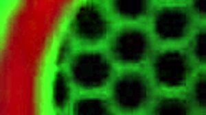 Blondýnka Vicky Vette cucá ptáka na šluk na prsa.