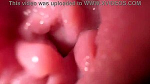 Guarda la mia figa larga aperta in mutandine calde, vuoi parlare sporco?