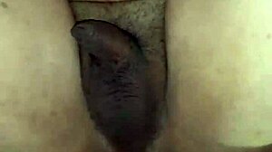 fucking nephew secretly while wife vacations