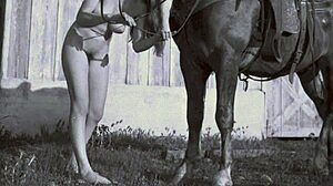 يا صديقي، تريد رؤية كس تابو قديم يُضرب؟