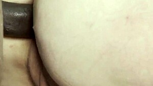 Stunning Step Mom Seduces Black Boy in Close-Up Doggystyle