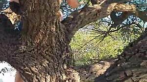 me peeing from a tree in gral paz haha