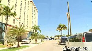 Perverted Homo Sex Encounter