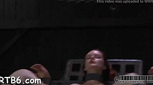 couple explores sadomasochism poses with tight pussy and oral hints