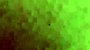 Fucking my favorite white women PT2