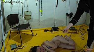 Вау, ныряем в грубое анальное доминирование, обсуждая глубокую философию! 😳