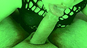 Miari Maya's Chubby Curves in Reverse Cowgirl, Showcasing Her Nice Ass