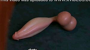 velma scooby doo in hentai cartoon