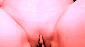 Melissa Alburqueque meets MMA fighter Allan Guerra Gomes