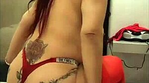 entrega doble la potra aleja enfermera y lo mejor de carnaval