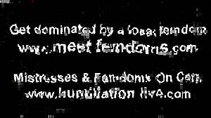 You will love the intense feeling of wearing pantyhose in BDSM humiliation