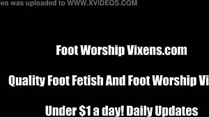 piper n cat lovin their foot fetish