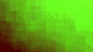 amateur trios filmed in quito