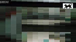 watching the neighbor in action from afar