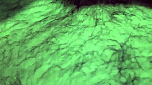 Hot seated wife enjoys intimate moment