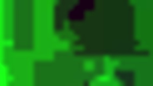 amateur trios filmed in quito