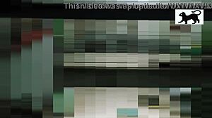 watching the neighbor in action from afar