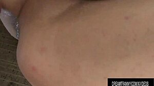 Fernanda Guerrero's Sensual Bareback Anal Encounter