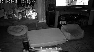 my wife gives blowjobs