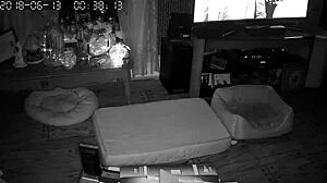 my wife gives blowjobs